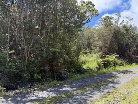 Road 7, Mountain View, HI 96771 photo 3