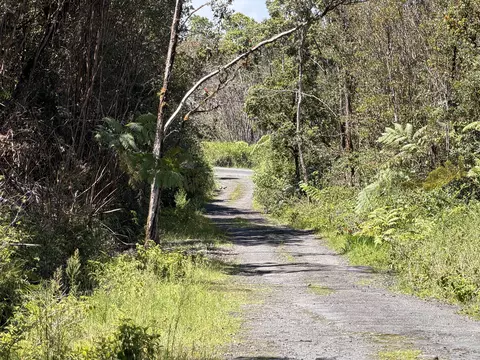 Road 7, Mountain View, HI 96771 photo 5