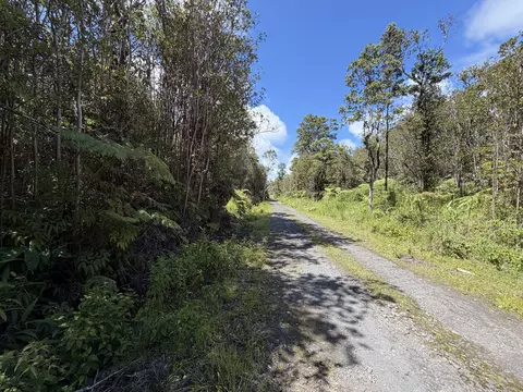 Road 7, Mountain View, HI 96771 photo 6