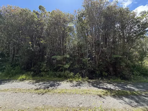 Road 7, Mountain View, HI 96771 photo 2