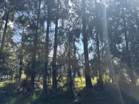 Pikake St, Mountain View, HI 96771
