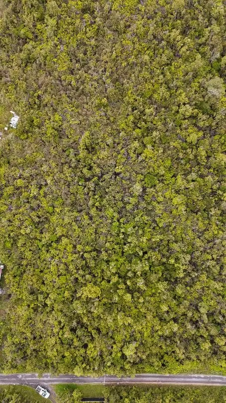 Mailenani Rd, Volcano, HI 96785 photo 3
