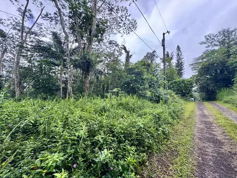 Shell Rd, Pahoa, HI 96778 photo 4