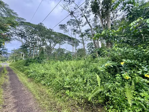 Shell Rd, Pahoa, HI 96778 photo 3