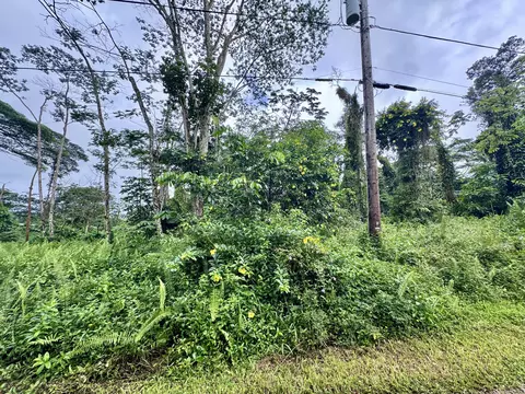 Shell Rd, Pahoa, HI 96778 photo 2
