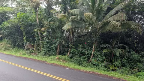 Kahakai Blvd, Pahoa, HI 96778