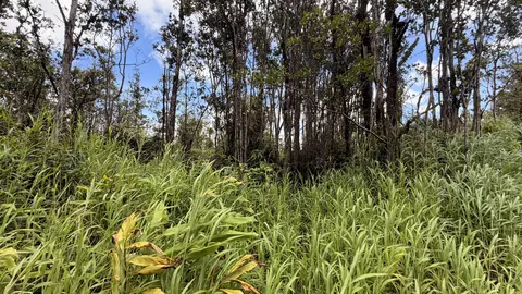 Makoa Rd, Volcano, HI 96785 photo 2