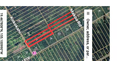 Makoa Rd, Volcano, HI 96785 photo 8