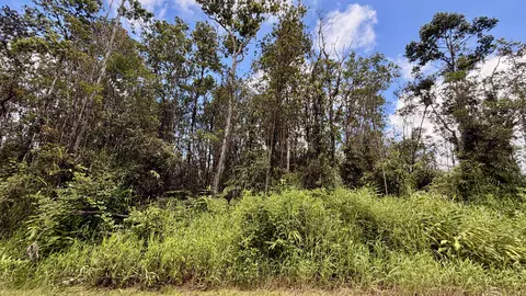Makoa Rd, Volcano, HI 96785 photo 7