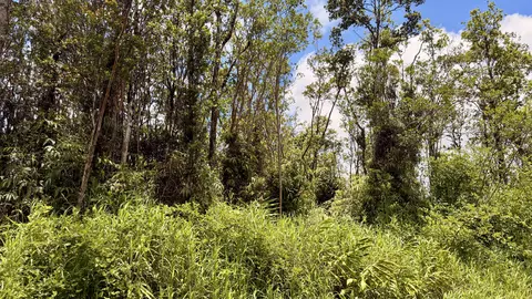 Makoa Rd, Volcano, HI 96785 photo 4