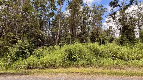 Makoa Rd, Volcano, HI 96785 photo 6
