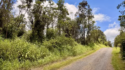 Makoa Rd, Volcano, HI 96785 photo 5