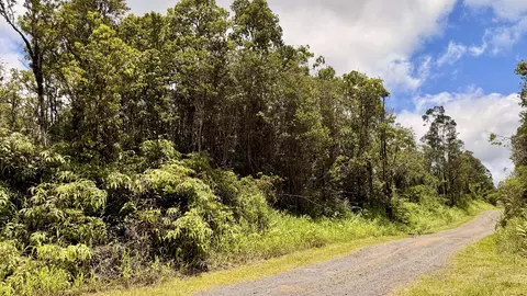 Makoa Rd, Volcano, HI 96785 photo 3