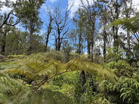 Anuhea St, Volcano, HI 96785 photo 7