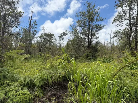 Anuhea St, Volcano, HI 96785 photo 14