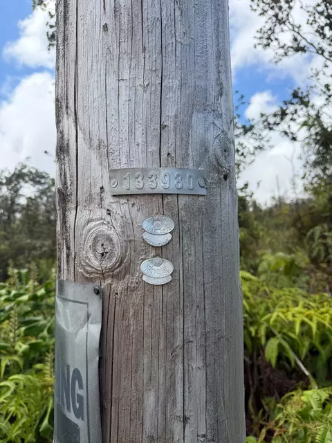 Anuhea St, Volcano, HI 96785 photo 9