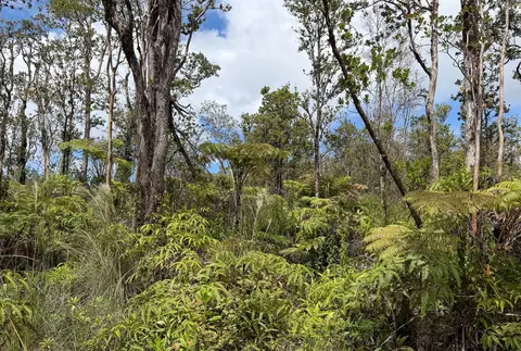 Anuhea St, Volcano, HI 96785 photo 15