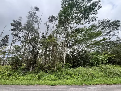 14-3368 Mauna Kea Rd, Pahoa, HI 96778