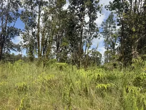 Holana St, Mountain View, HI 96771