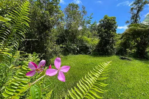 Maile St, Pahoa, HI 96778