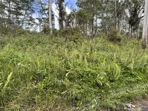 Road 6, Kurtistown, HI 96760