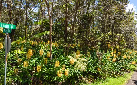 11-3878 10th St, Volcano, HI 96785 photo 9