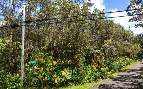 11-3878 10th St, Volcano, HI 96785 photo 7
