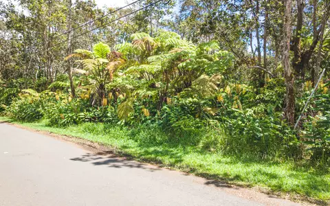 11-3878 10th St, Volcano, HI 96785 photo 2