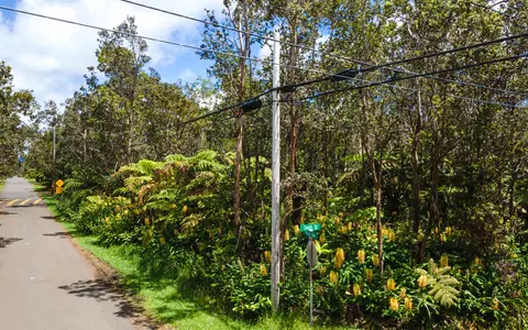 11-3878 10th St, Volcano, HI 96785 photo 3