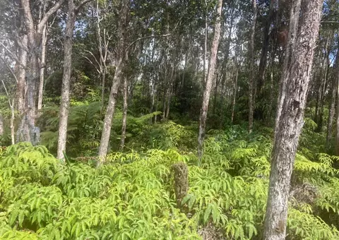 Mokuna St, Volcano, HI 96785 photo 5