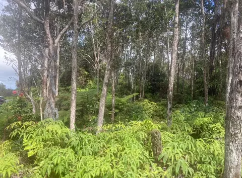 Mokuna St, Volcano, HI 96785 photo 3