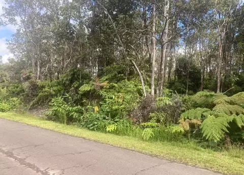 Mokuna St, Volcano, HI 96785 photo 2