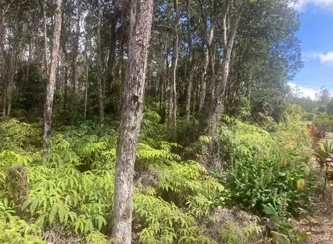 Mokuna St, Volcano, HI 96785 photo 6