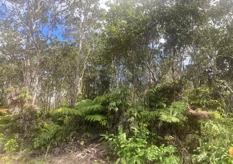 Mokuna St, Volcano, HI 96785 photo 4