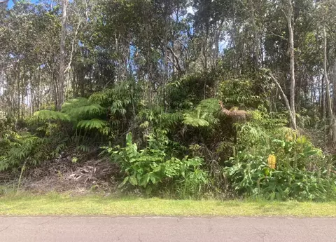 Mokuna St, Volcano, HI 96785
