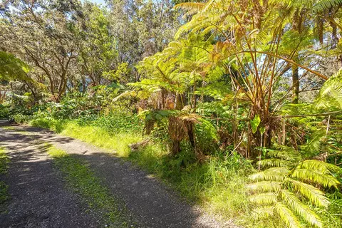 Undisclosed, Volcano, HI 96785 photo 6