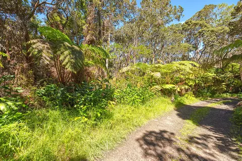 Undisclosed, Volcano, HI 96785 photo 5