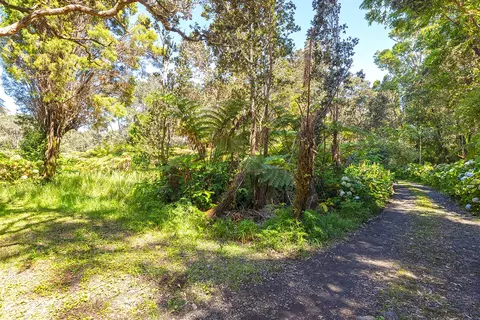 Undisclosed, Volcano, HI 96785 photo 7