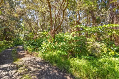 Undisclosed, Volcano, HI 96785 photo 4