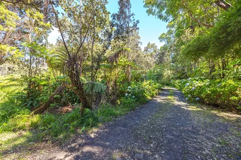 Undisclosed, Volcano, HI 96785 photo 2
