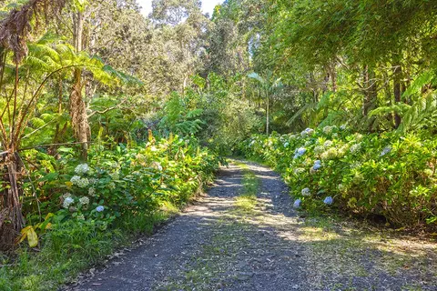 Undisclosed, Volcano, HI 96785 photo 3