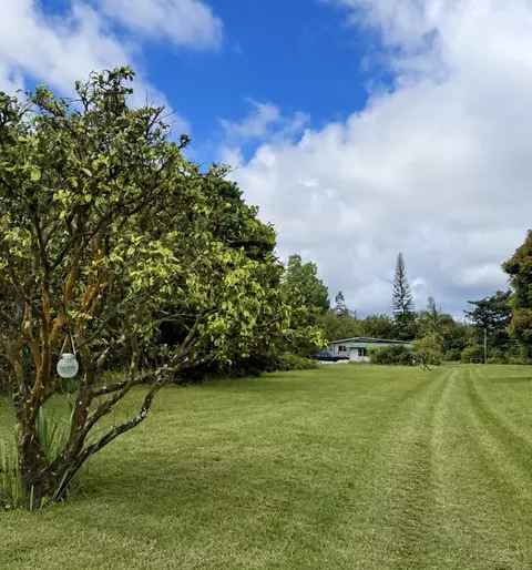 16-1272 Hopue Rd, Mountain View, HI 96760