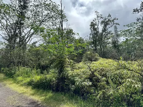Road 3, Mountain View, HI 96771 photo 2