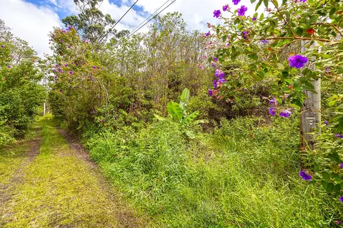 Keola Pl, Mountain View, HI 96771
