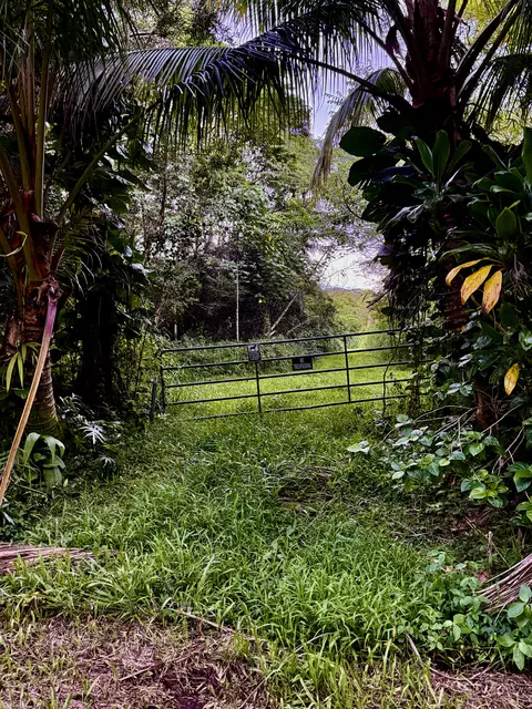 13-790 Kamaili Rd, Pahoa, HI 96778