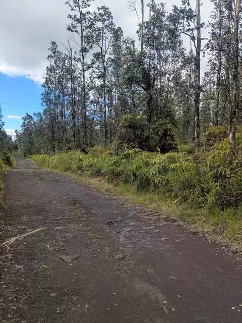 Road 4, Kurtistown, HI 96760