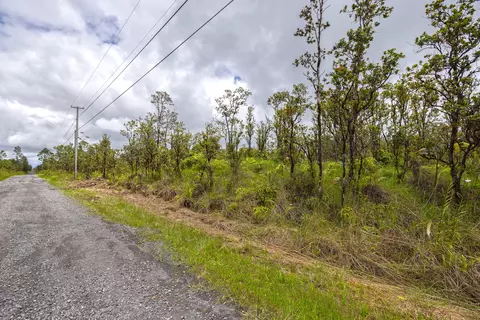 Omeka Rd, Volcano, HI 96785 photo 6
