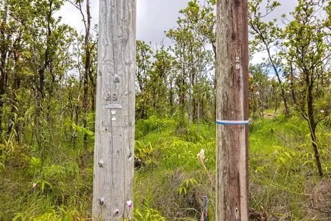 Omeka Rd, Volcano, HI 96785 photo 8