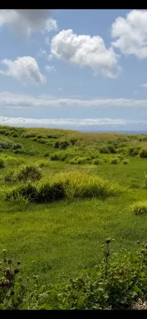 Undisclosed, Naalehu, HI 96772