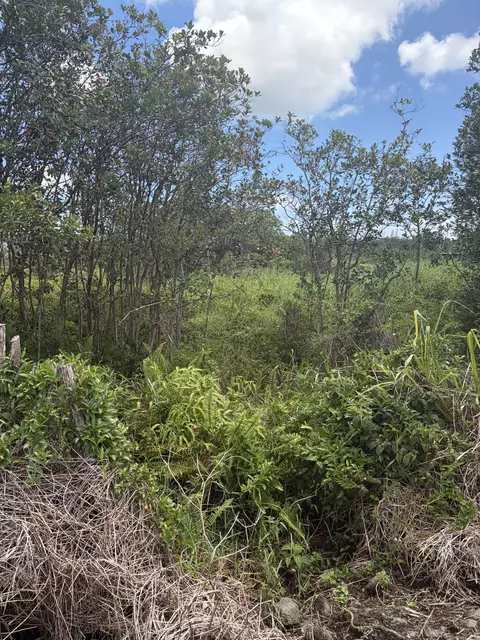 Road 9, Kurtistown, HI 96760